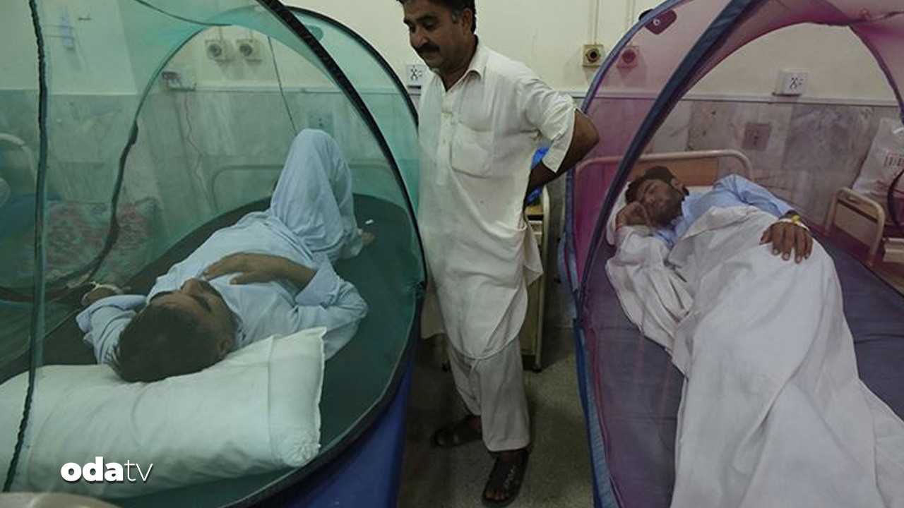 580 kişi hastanede, 3 ölüm: Dang humması Bangladeş’i vuruyor