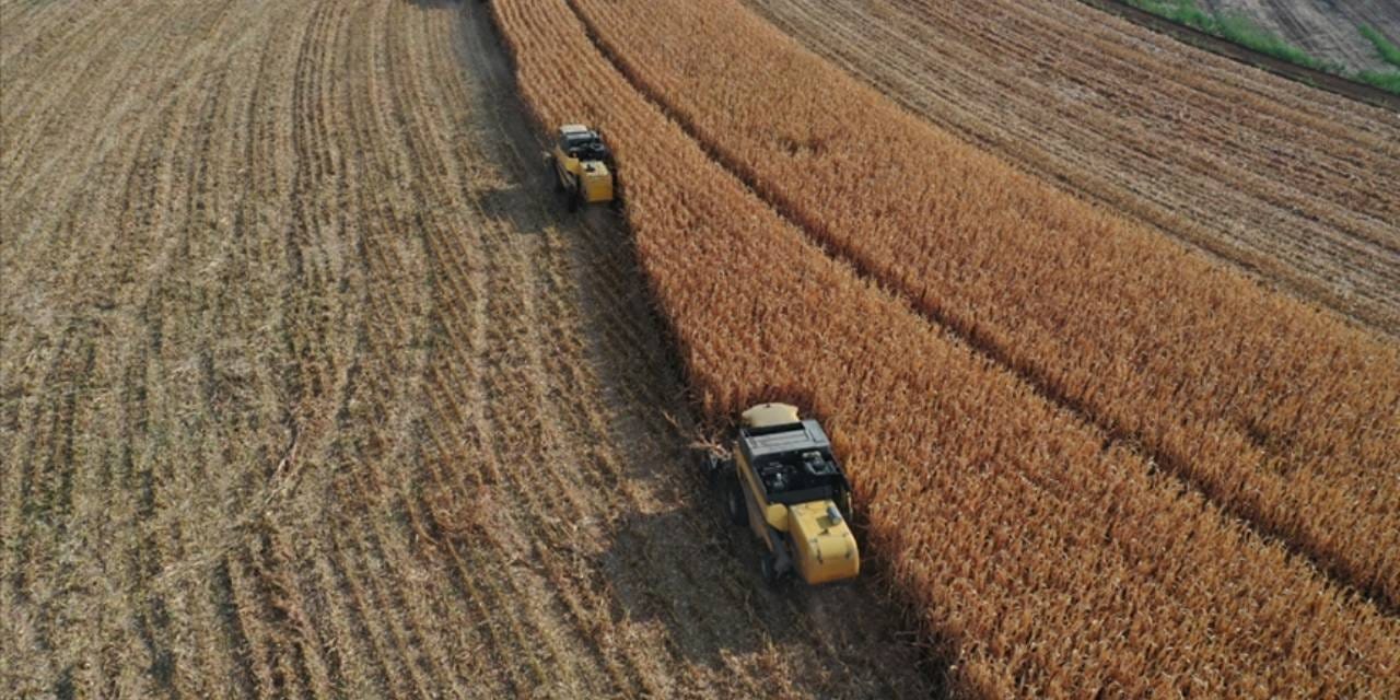 bakanlik resmen acikladi 274 milyon tllik odemeler hesaplara yatiyor FWA8Qwrt