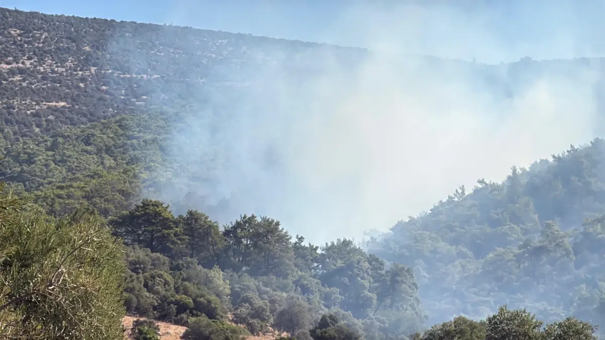 Milas’ta Orman Yangını Çine’ye Sıçradı
