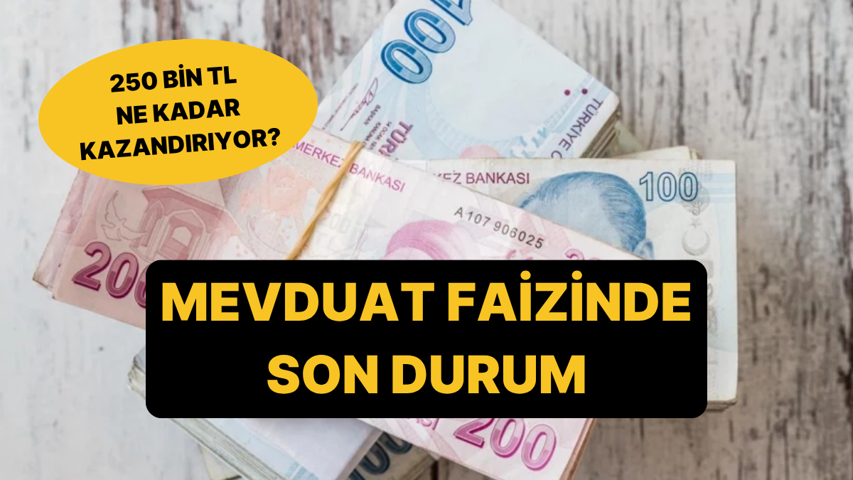 Mevduat Faizlerinde Son Durum: 250 Bin TL’nin Aylık Getirisi Belli Oldu!
