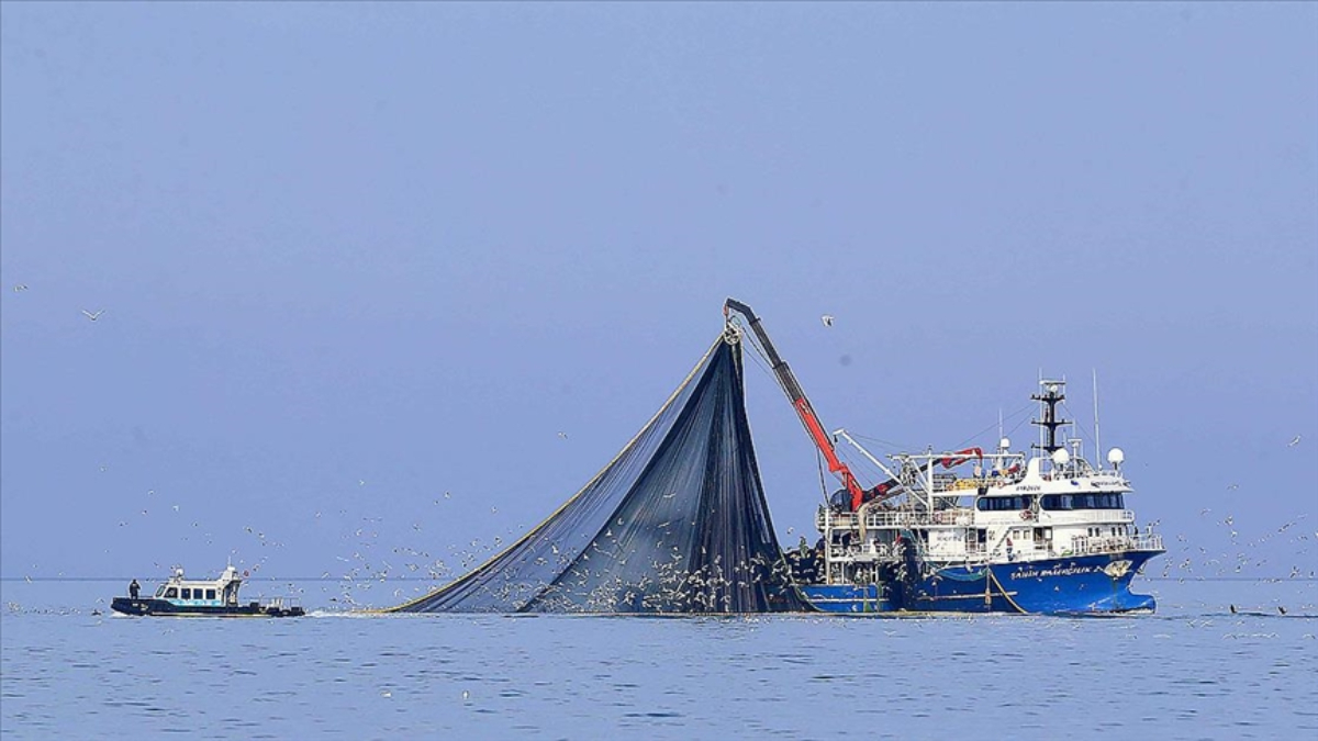 Karadeniz’de su sıcaklığı düşmeyince hamsi uzaklaştı