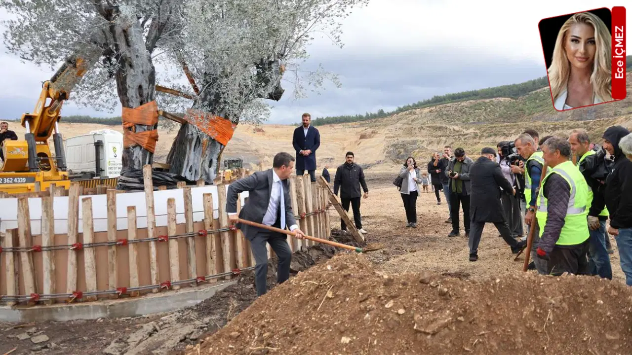 Milas’ta 300 yıllık ağacın taşınmasına tepki: ‘Zeytini taşımak köylüyü yok etmektir!’