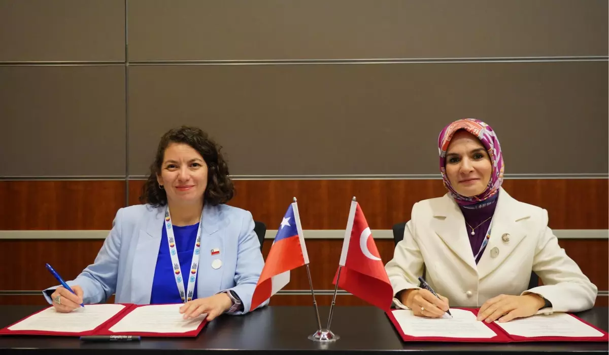 Türkiye ve Şili Arasında İş Birliği Mutabakatı İmzalandı