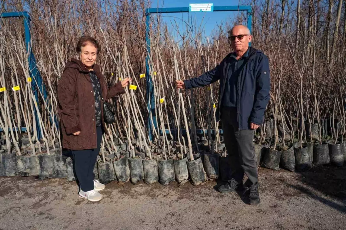 75 üreticiye 3 bin 600 fidan