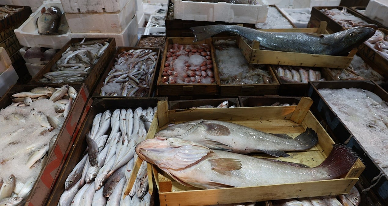 Hamsi, istavrit veya somon değil: Aralık ayında bu balığı yiyin, en sağlısıymış