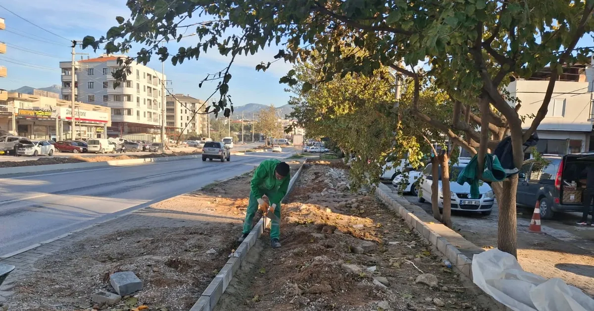 Muğla Milas’ın dört bir yanı yeşile bürünüyor