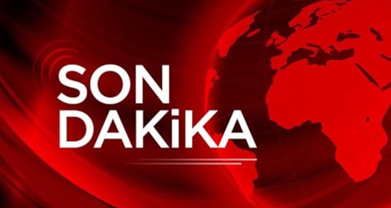 Son dakika… ‘Fon dolandırıcılığı’ davasında Seçil Erzan 102 yıl hapis cezasına çarptırıldı