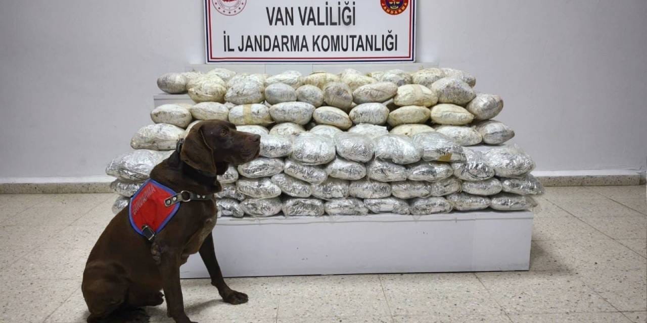 Van’da 60 kilo skunk ele geçirildi
