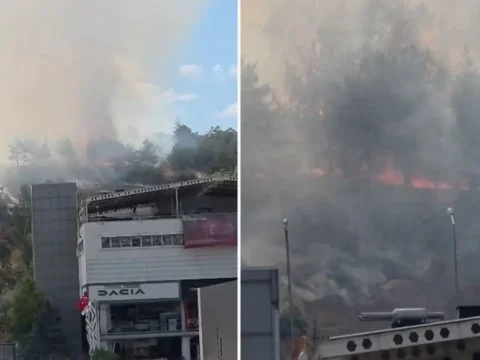 Son dakika ankarada odtu ormaninda yangin eJebzUnU